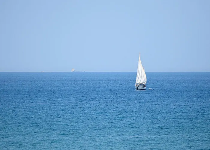 Moderna * 斯塔拉帝