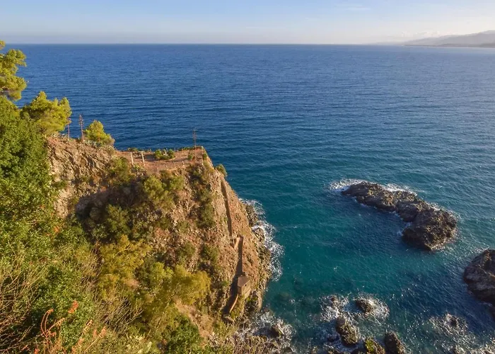 Moderna * 斯塔拉帝